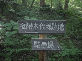 木曽東濃檜　赤沢自然休養林