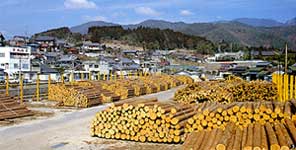 坂下駅前に立地する檜原木の貯木場