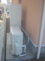 eco20110321002.JPG