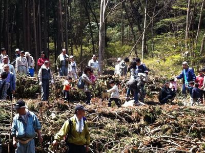 shokurin20110424007.jpg