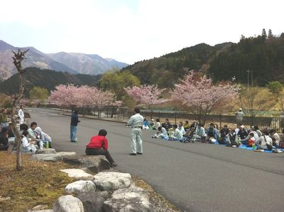 shokurin20110424029.jpg