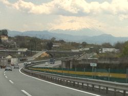 shokurin20110424030.jpg