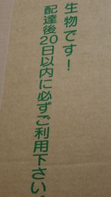 和紙が原料の塗り壁材　レーベン